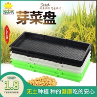 Black Sprout Dish Planting Seedling Tray Bean Sprouting Wheatgrass Sprout Seedling Tray Succulent Seeding Culture Box