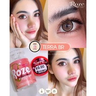 คอนแทคเลนส์ Roze Terra ค่าอมน้ำ55%