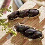 預訂台灣快車肉乾黑金剛花生270g