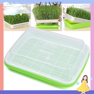 LA  Sprouter Tray Home Garden Hydroponic Tray Nursery Paper Plant Box