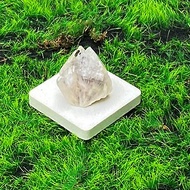 天然原礦能量白水晶共生綠簾石 療癒 開運