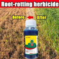 Root-rotting herbicide HB racun rumput ecomax racun rumput glyphosate racun rumput dan lalang racun 