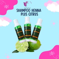 SHAMPOO HENNA PLUS CITRUS | SYAMPU RAMBUT | SYAMPU HENNA | SUSUK MANJA | RAMBUT GUGUR | KELEUMUR | R