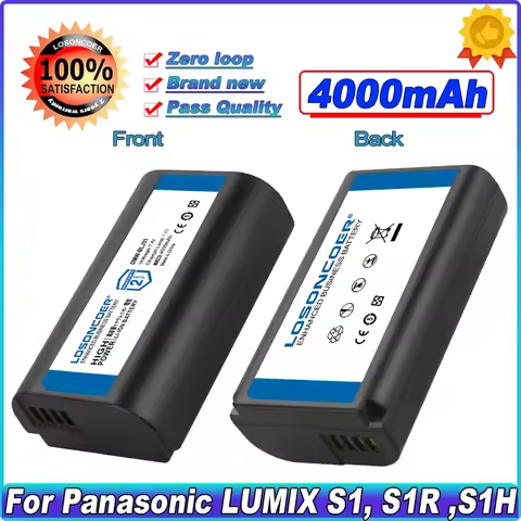 4000mAh DMW-BLJ31 DMW BLJ31 Battery For Panasonic LUMIX S1, S1R ,S1H, LUMIX S Series Mirrorless Came