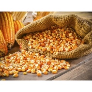 1kG Popcorn - USA (used as BUTTER POPCORNPiece) - snacks