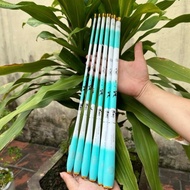 4H collapsible 43cm mini boat fishing rod, convenient and compact for fishing rivers, streams, ponds