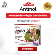 Antinol [แท้💯] สูตรใหม่! "EAB277" อาหารเสริมบำรุงข้อ สำหรับสุนัขและแมว