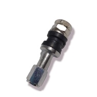 Iron tubeless valve long iron tubeless valve/