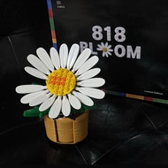 GDragon Oxford Building Block Set 818BLOOM Limited Edition Gift Box China Now Building Block Flower 