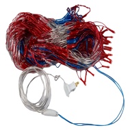 American Flag Light with LED Light String July 4th Decorations Independence Day National Holidays Fl