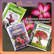 Adenium Obesum Series Organic Fertilizer Desert Rose Flower Plant Baja Bunga Pokok