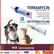 Sale Salep mata anjing dan kucing - Oxy/ terramycin