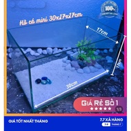 Mini fish tank 30x17x17 5mm glass 100% new