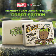 TTRacing L Size Memory Foam Lumbar Pillow - Groot Edition หมอนรองเอว รองเอว หมอนรองเอวเมมโมรี่โฟม หมอนรองหลังเมมโมรี่โฟม ท่านั่งที่ดี