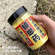 9.1 Household Indoor Kitchen Dormitory Rental House Large Small Cockroaches Ants Insect Amine Non-To