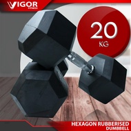 20KG Hexagon Dumbbell Weight Training Fitness Dumbbell