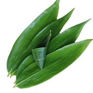 Ready Stock Ready Stock extra large fresh Rice Dumpling leaves 100 Pieces Natural Wild Rice Dumpling