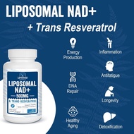 Lepoznan Liposomal NAD+ 500 mg + Trans-Resveratrol 300 mg Nicotinamide Riboside 120 Softgels