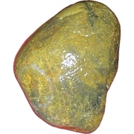Taiwan Taitung Dulan Earth Mining Gold Jasper