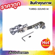 CarSun Turbosound Car Pipe Audio Converter Turbo Sound