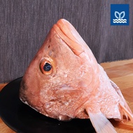 Prime Fresh -  Fresh Red Snapper 红鸡 (Ang Kuay) - Head - 800G – 1KG