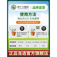 Baja kegunaan khas blueberry Pokok blueberry cecair nutrien anak benih buah bonsai zarah baja pelepa
