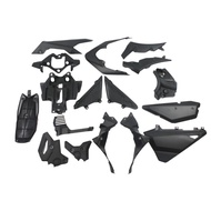 SATRIA FI 150 / RAIDER FI 150