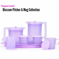 Tupperware Blossom Pitcher Set Jug 1.4L / Jug 2L / Mug with Lid (4pcs)
