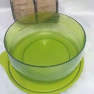 Tupperware Watercolor Individual bowl Hijau