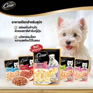 [X16 Sachets] CESAR Caesar Wet Dog Food 70 Grams {Wet Food}