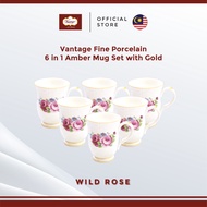 Vantage Fine Porcelain Wild Rose (F25) 6pcs Amber Mug Set With Gold Lining