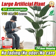 【Durable for 100 years】 pokok hiasan dalam rumah monstera artificial plant with pot pokok bunga hias