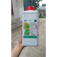 Bico pandan leaf flavor - Colarome Pandan leaf flavor - 1kg bottle
