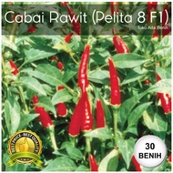 Benih / Biji Cabai Rawit Pelita 8 F1 - Cabe Rawit Pelita 8 F1 - 30 Biji