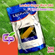 500g Leckat Sugar Rich 592 / F1 Hybrid Sweet Corn /  Biji Benih Jagung Manis F1 592