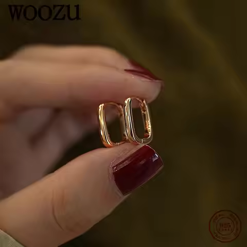WOOZU 925 Sterling Silver Minimalist Punk Geometric Glossy Gold Huggies Hoop Earrings for Women Fash