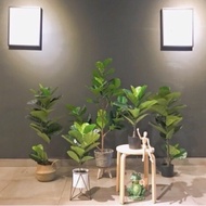 Fiddle Fig Artificial Plant Premium Quality 🔥Ready Stock🔥Pokok Fiddle Fig Hiasan House Office School