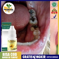 Perontok Gigi Rusak - Obat Pencabut Gigi Sampai Akar - Obat Pencabut Gigi Berlubang - Obat Pencopot