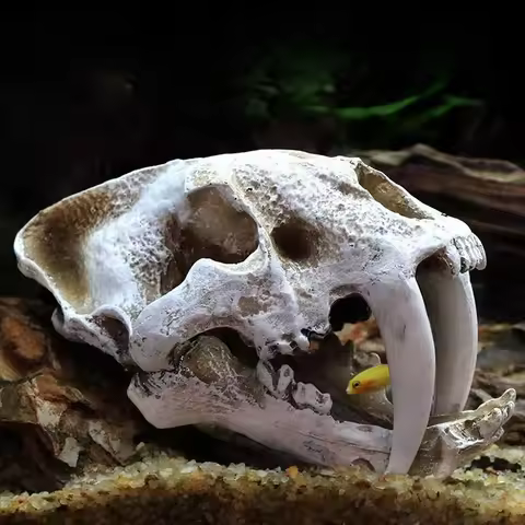 Dinosaur Skull Model Velociraptor Fossil Resin Skull Lifelike Dinosaur Skeleton Statue Figurine Aqua