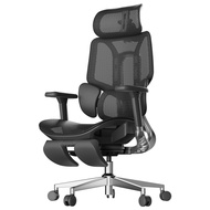 Hbada E3 Air Ergonomic Office Chair - with 3-Zone Dynamic Lumbar Support 3D Adjustable Headrest & 3D