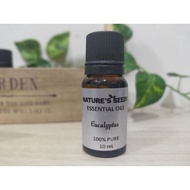 Nature's Seeds 100%Pure Essential Oil Eucalyptus 10ml