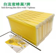 
 Beehive Self-flow Bee hive Automatic honey flow, Bee Villa, Lang style beehive