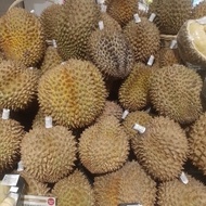 durian montong palu utuh premium
