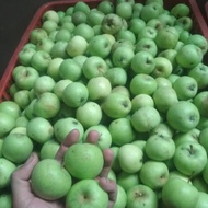 buah apel malang batu apel manalagi 1 kg ✅