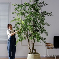 Tropical Simulation Landing Made Money Elm Money Ficus Large Ornaments Tree Potted Fake Plants Green