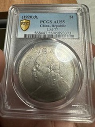 袁世凱九年大頭