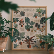 Cavallini ปริศนาพืชความยากสูง 1000 ชิ้นรุ่นผู้ใหญ่พร้อมกรอบโดย Galison Neutral สําหรับผู้ชายและผู้หญ