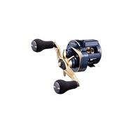 Daiwa 21 Saltiga IC 100P-DH