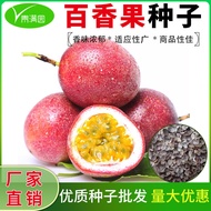 Wholesale Passion Fruit Seeds Purple Fragrant West Guarantee Years Raw Golden Egg Fruit Seeds Melon 