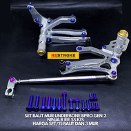 SET OF TITANIUM FOOTSTEP UNDERBONE BOLT BPRO GEN 2 NINJA R RR SS KIS ZX150 ORIGINAL TITANIUM GR5